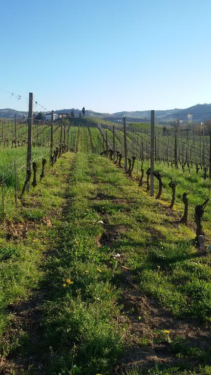 Cascina Longoria Alloggio per agriturismo