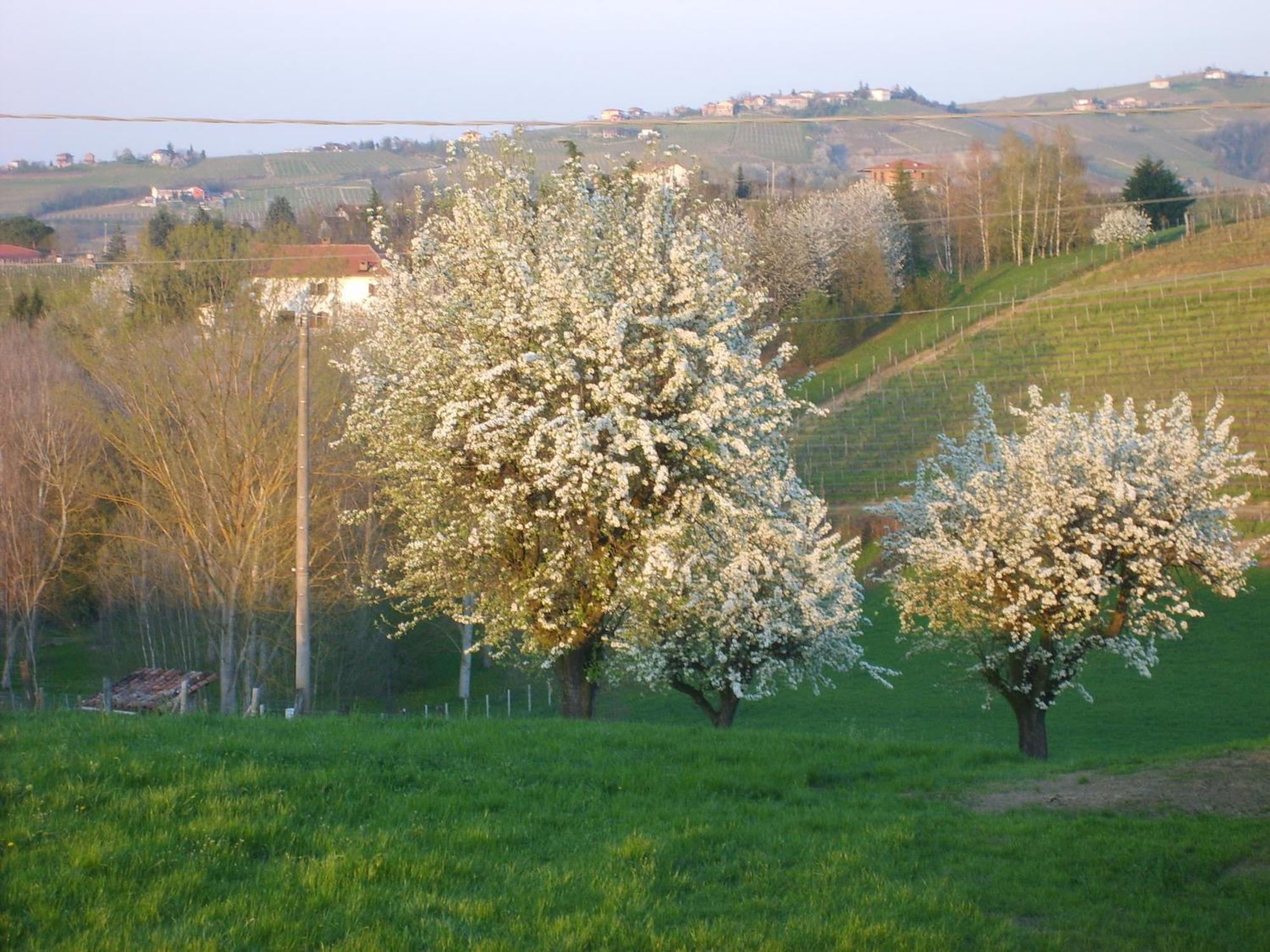 Cascina Longoria Alloggio per agriturismo *